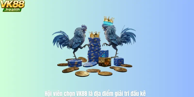 Hội viên chọn VK88 là địa điểm giải trí đấu kê