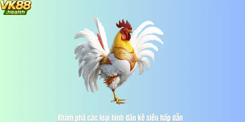 Khám phá các loại hình đấu kê siêu hấp dẫn