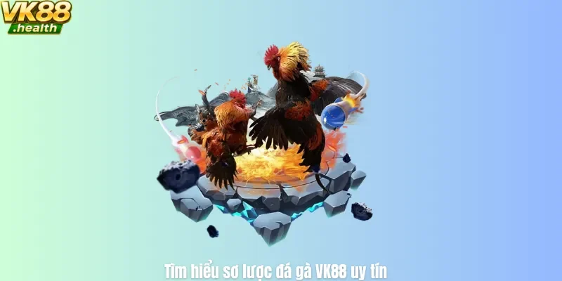 Tìm hiểu sơ lược đá gà VK88 uy tín