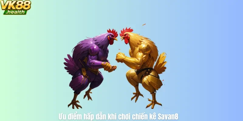 Ưu điểm hấp dẫn khi chơi chiến kê Savan